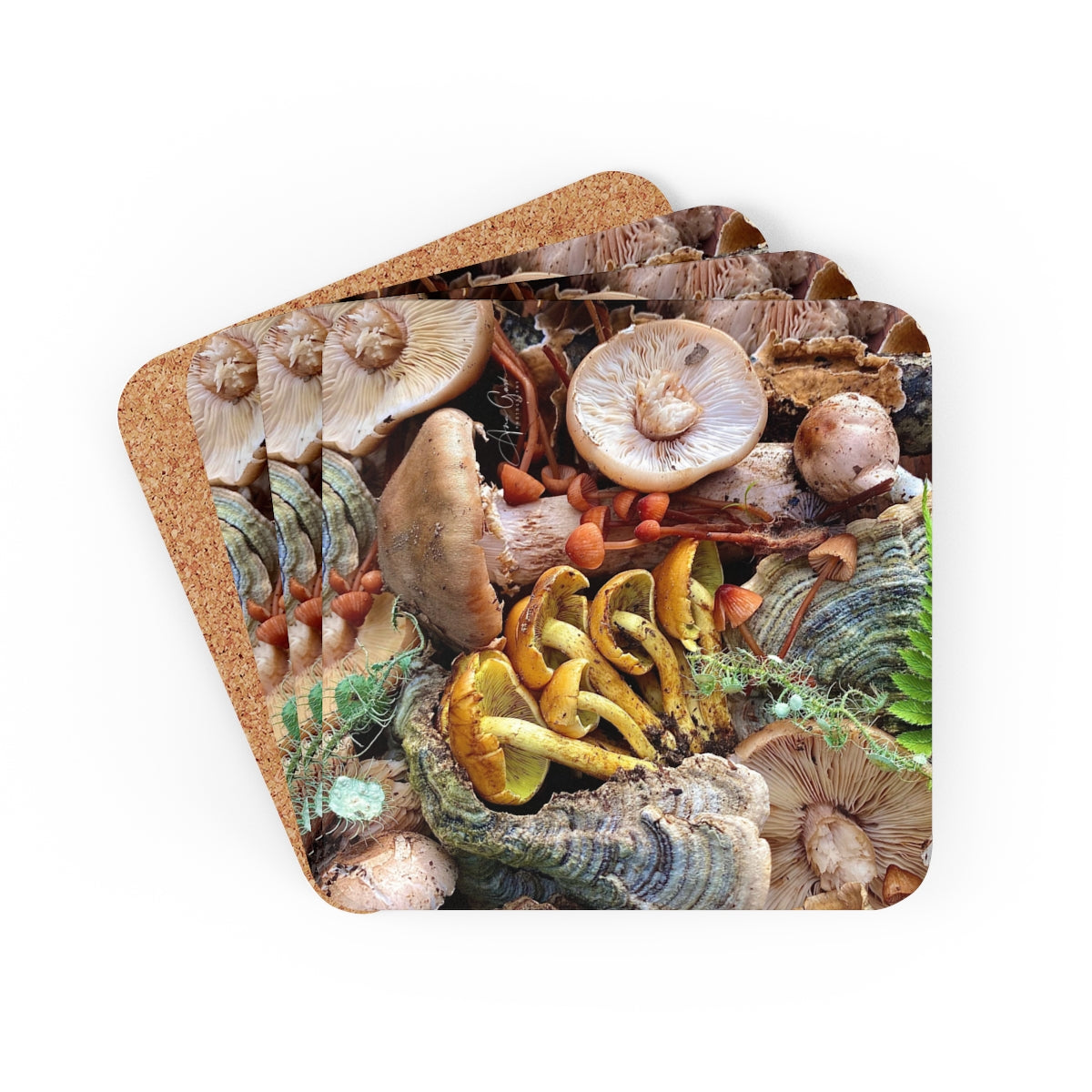 Summit Harvest - Coaster Set