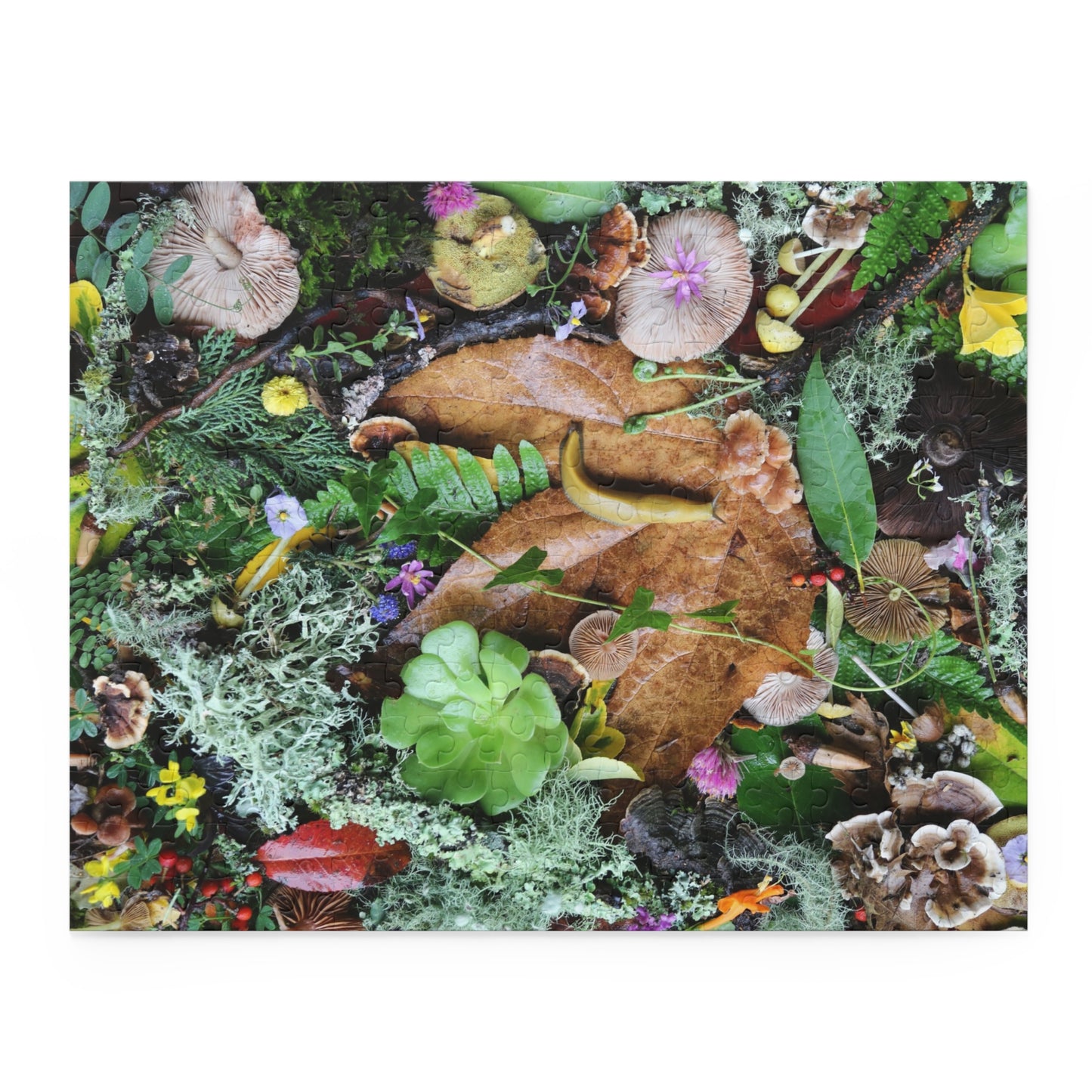 Forest Floor Nature Puzzle — Banana SLugLeaves, Mushrooms & Moss (120/252/500 pc)