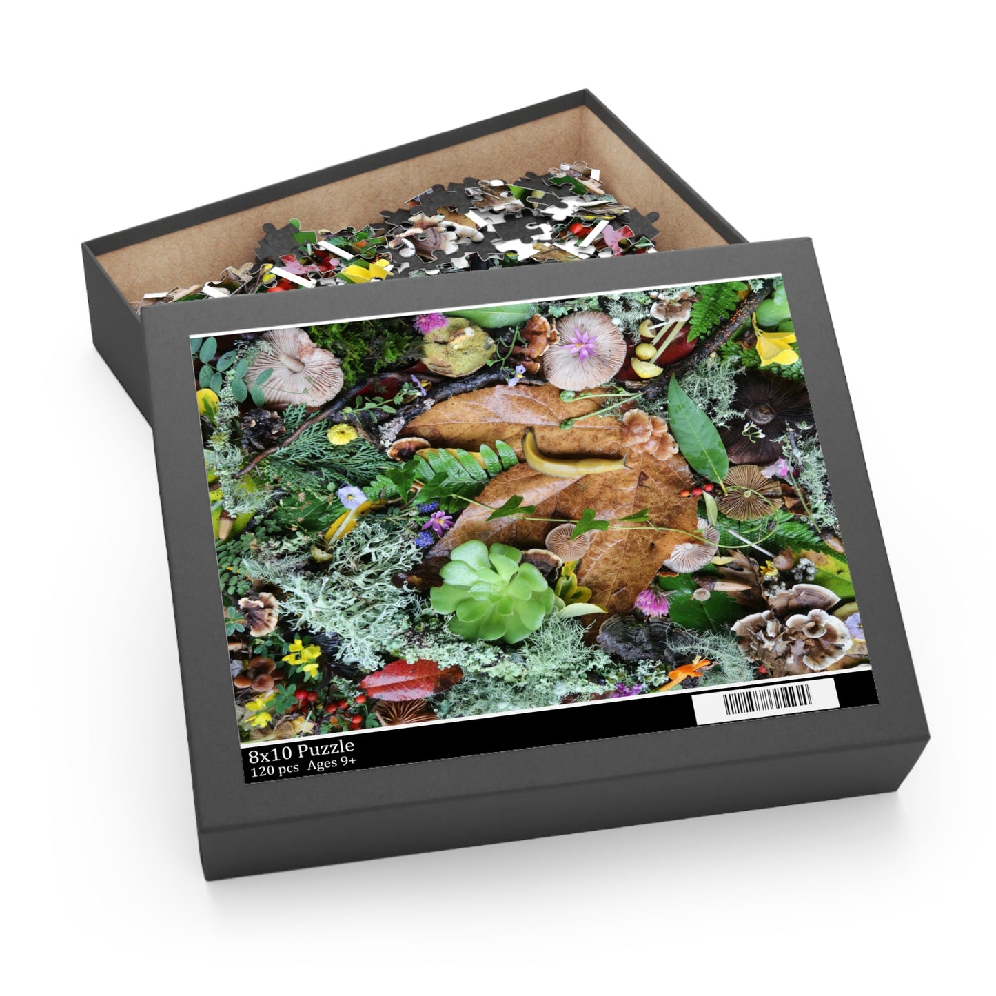 Forest Floor Nature Puzzle — Banana SLugLeaves, Mushrooms & Moss (120/252/500 pc)