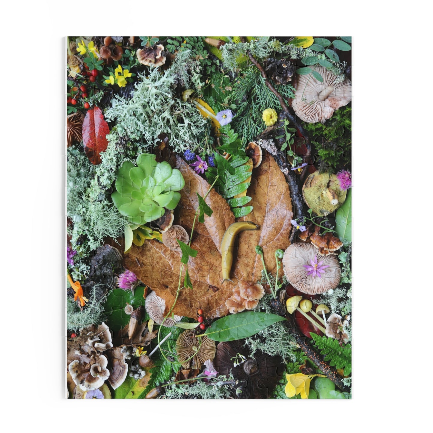 Forest Floor Nature Puzzle — Banana SLugLeaves, Mushrooms & Moss (120/252/500 pc)