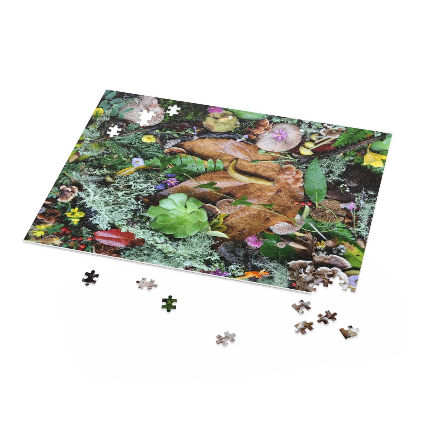 Forest Floor Nature Puzzle — Banana SLugLeaves, Mushrooms & Moss (120/252/500 pc)
