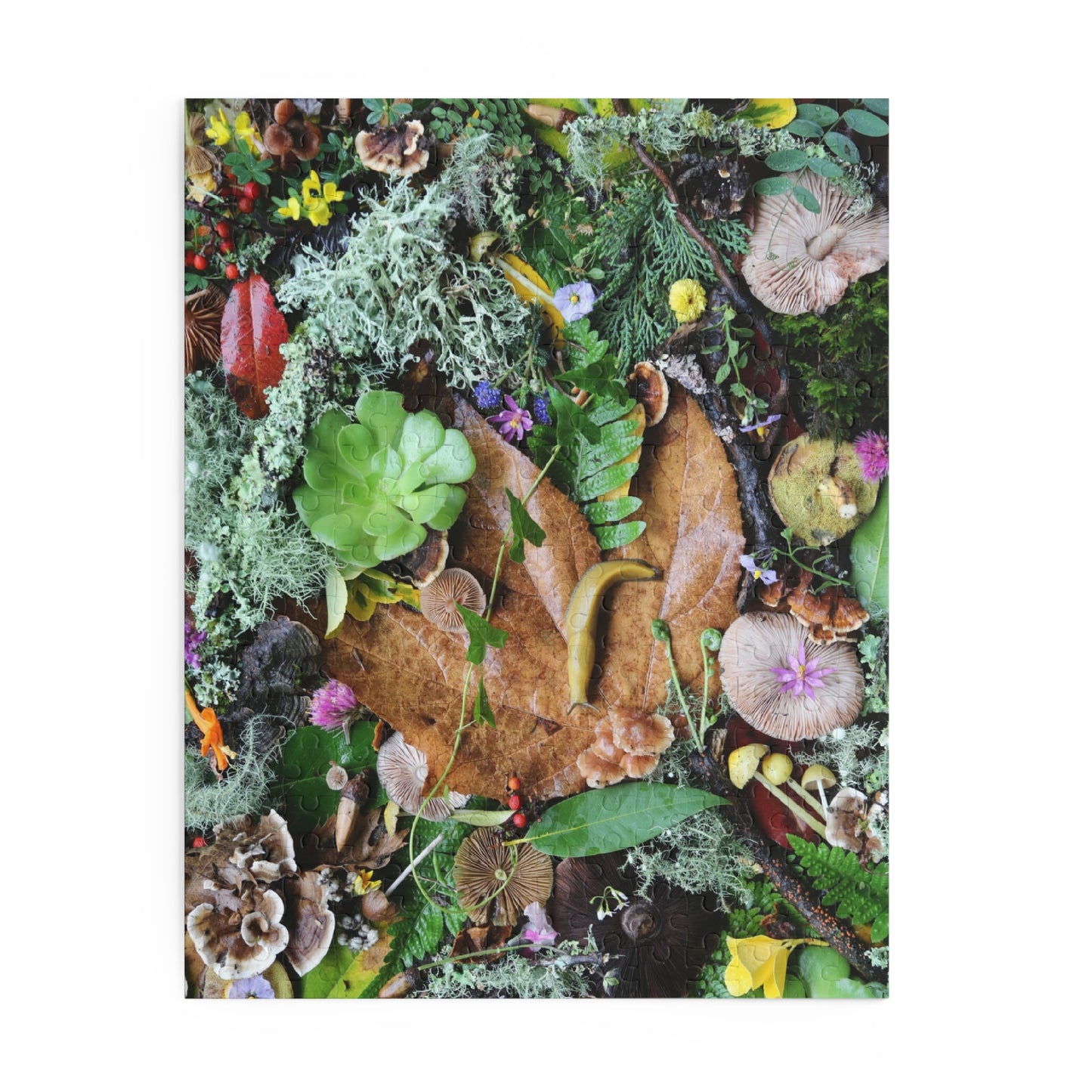 Forest Floor Nature Puzzle — Banana SLugLeaves, Mushrooms & Moss (120/252/500 pc)