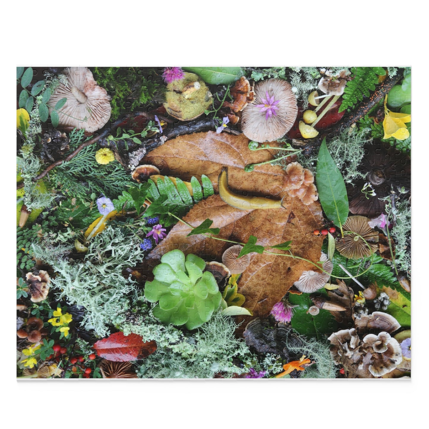 Forest Floor Nature Puzzle — Banana SLugLeaves, Mushrooms & Moss (120/252/500 pc)