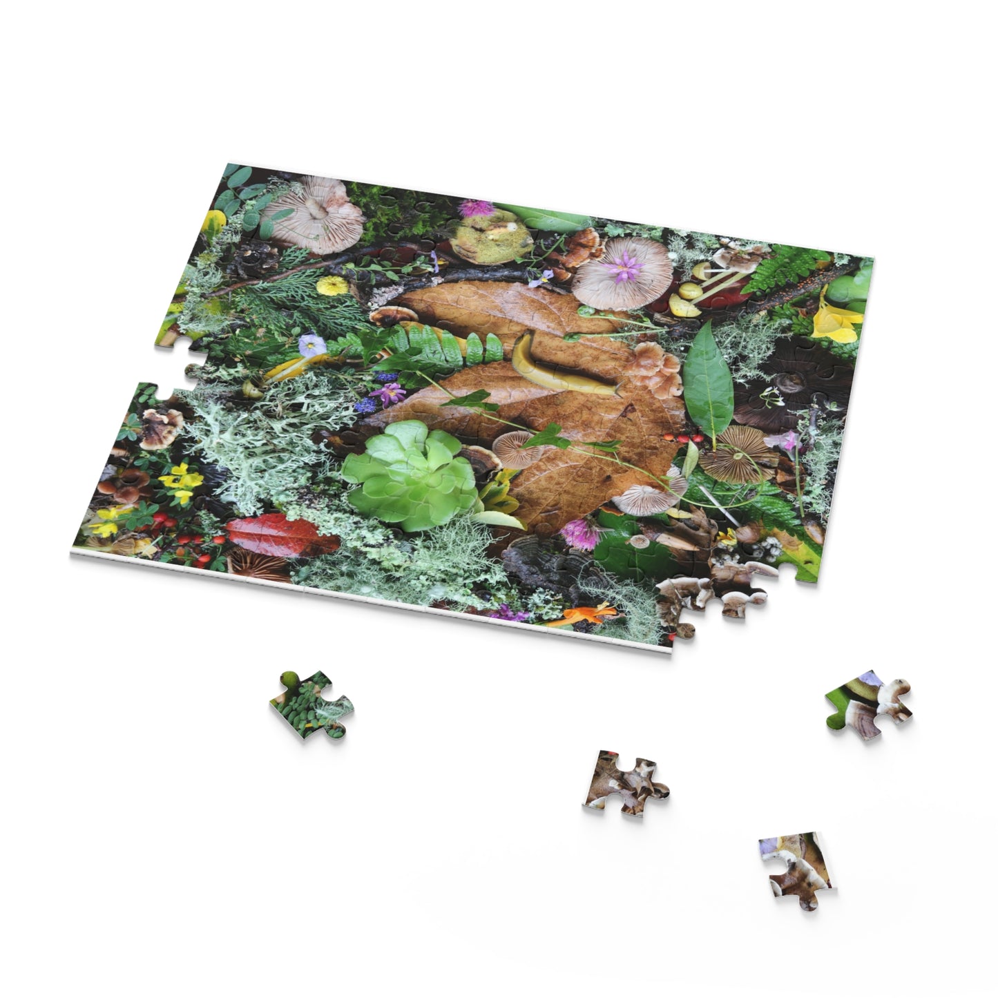 Forest Floor Nature Puzzle — Banana SLugLeaves, Mushrooms & Moss (120/252/500 pc)