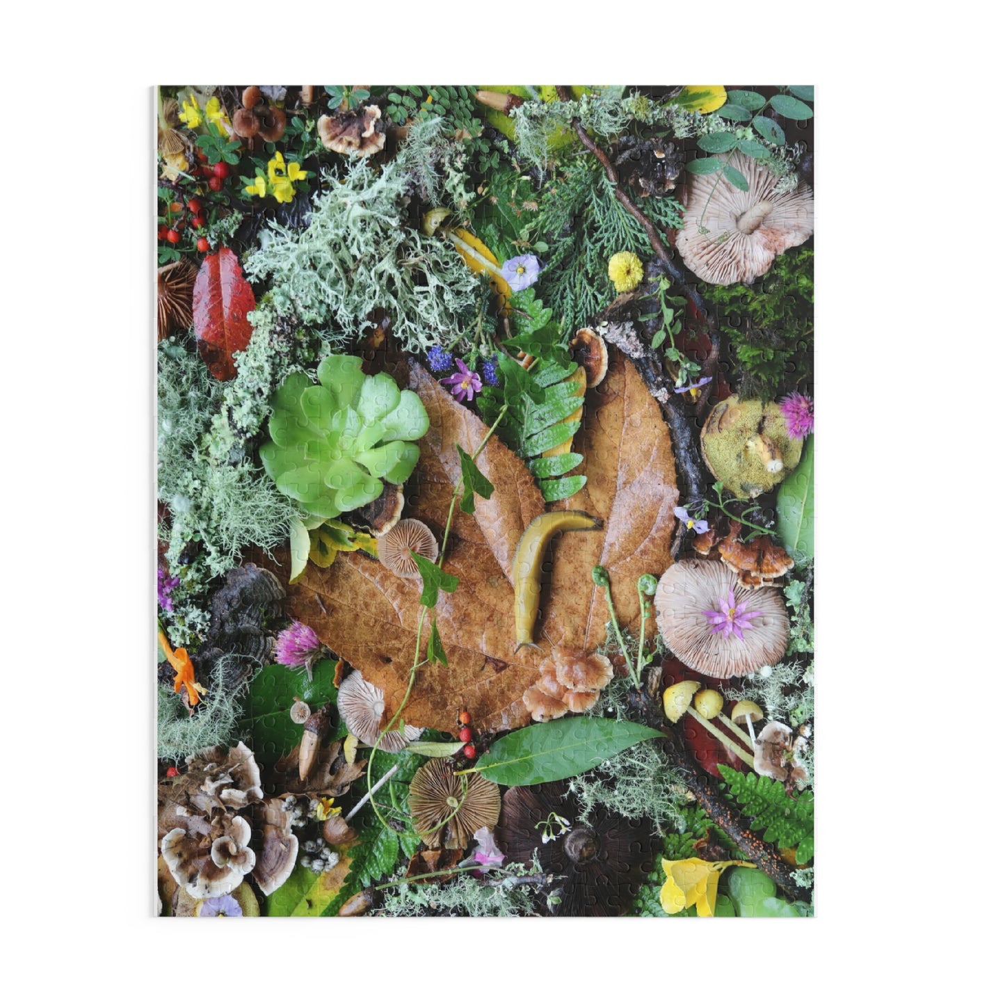 Forest Floor Nature Puzzle — Banana SLugLeaves, Mushrooms & Moss (120/252/500 pc)