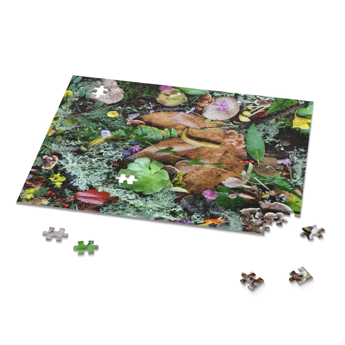 Forest Floor Nature Puzzle — Banana SLugLeaves, Mushrooms & Moss (120/252/500 pc)