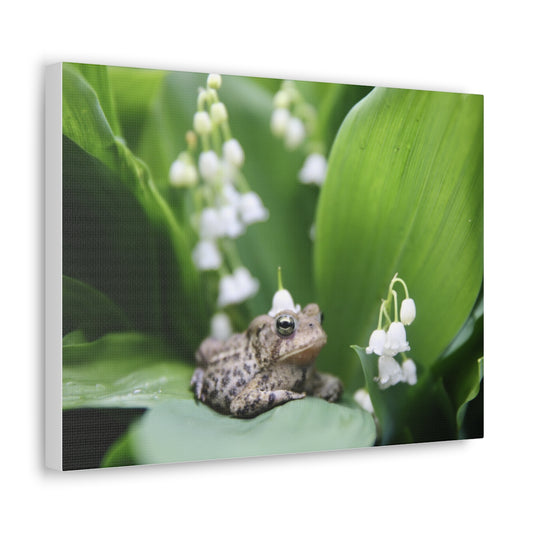 Toad and Lily - Canvas