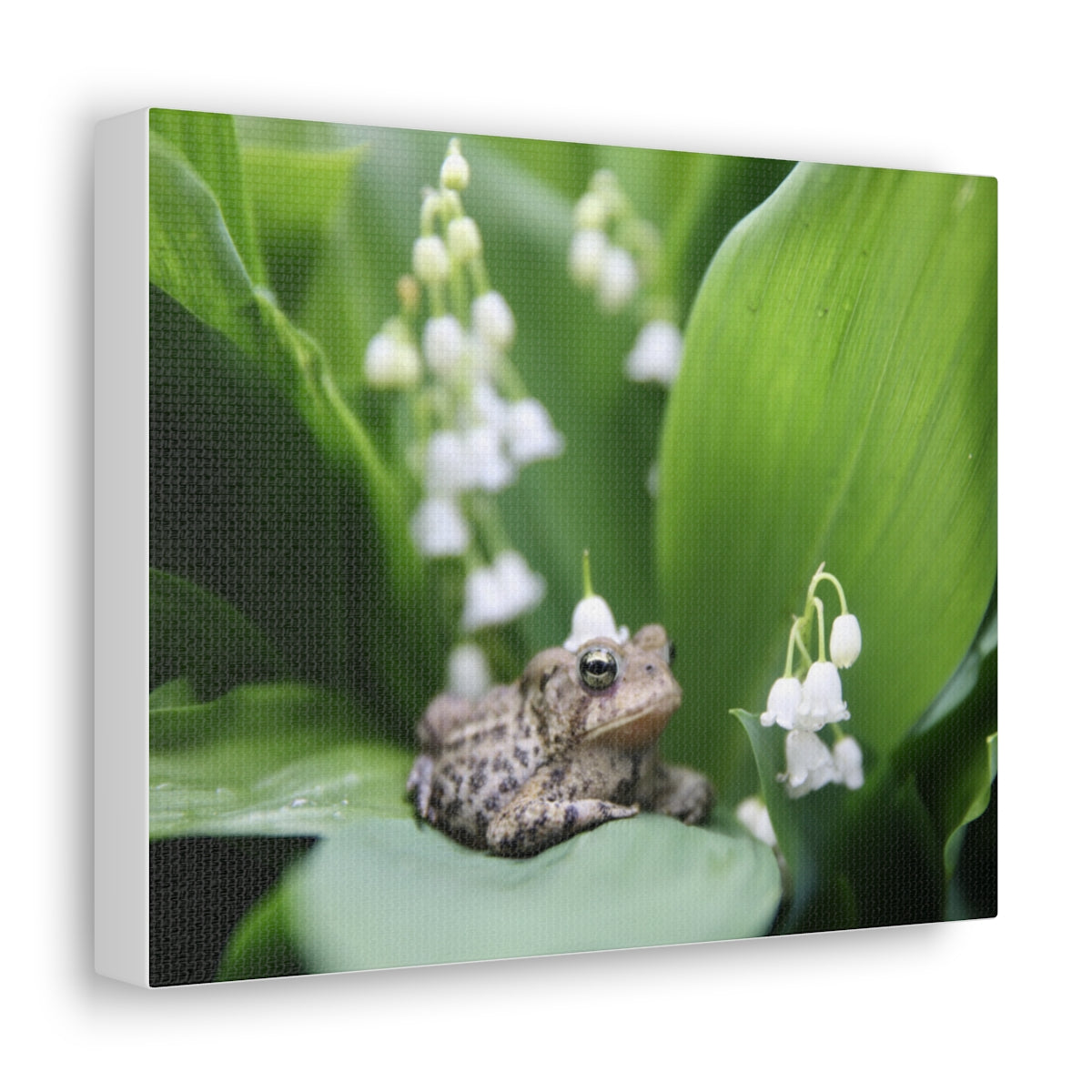 Toad and Lily - Canvas