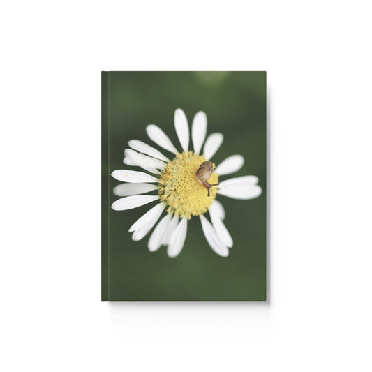 Snail Fern Hard Backed Journal