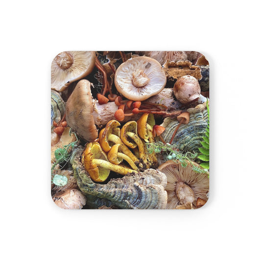 Summit Harvest - Coaster Set