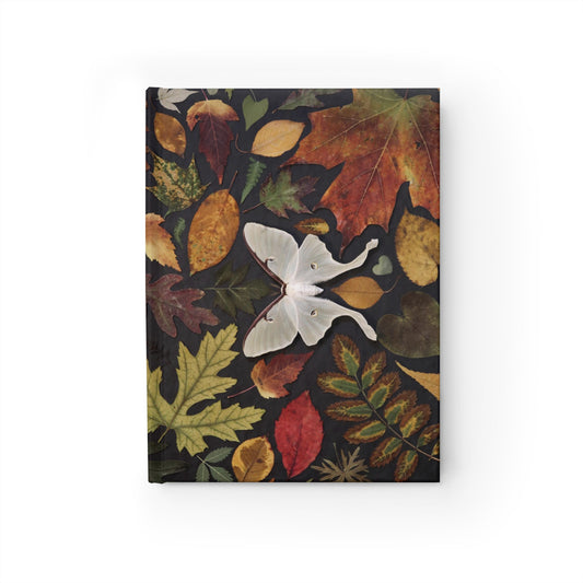 Autumn Moth Journal